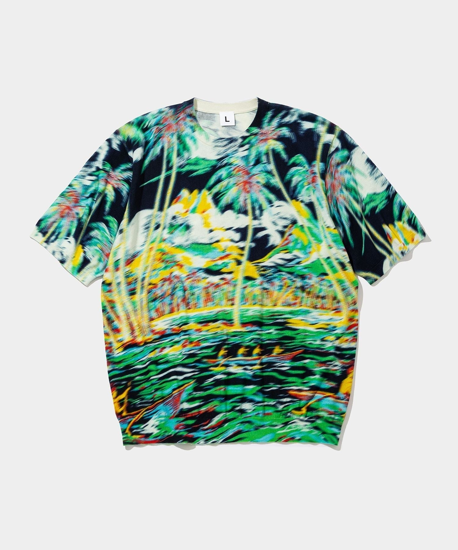 Blurred Cotton H/S Knit PO (palm tree)