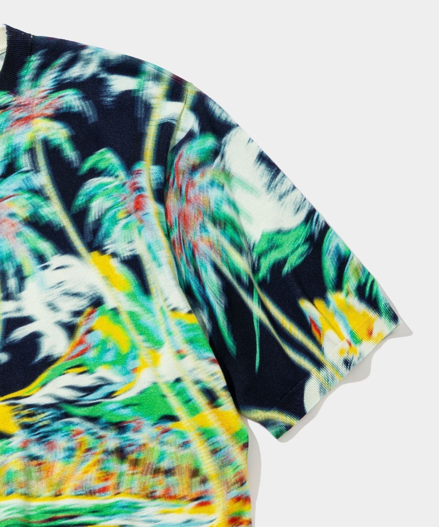 Blurred Cotton H/S Knit PO (palm tree)