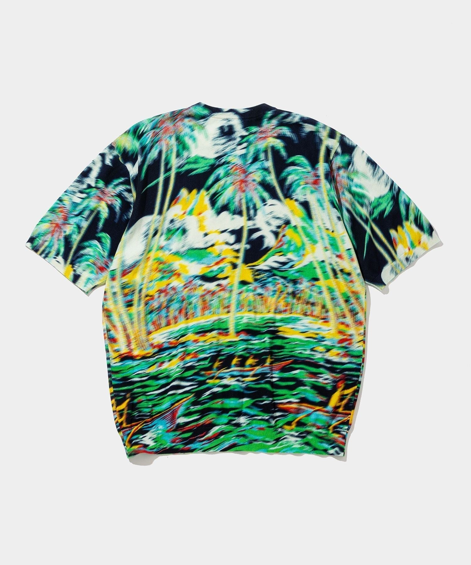 Blurred Cotton H/S Knit PO (palm tree)