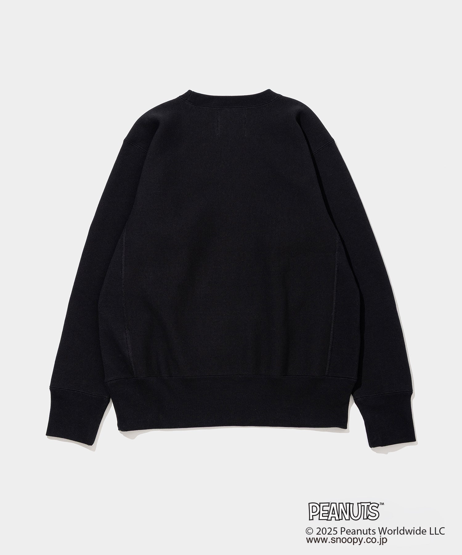 Champion C/N Sweat - 011A PEANUTS FRAGMENTS