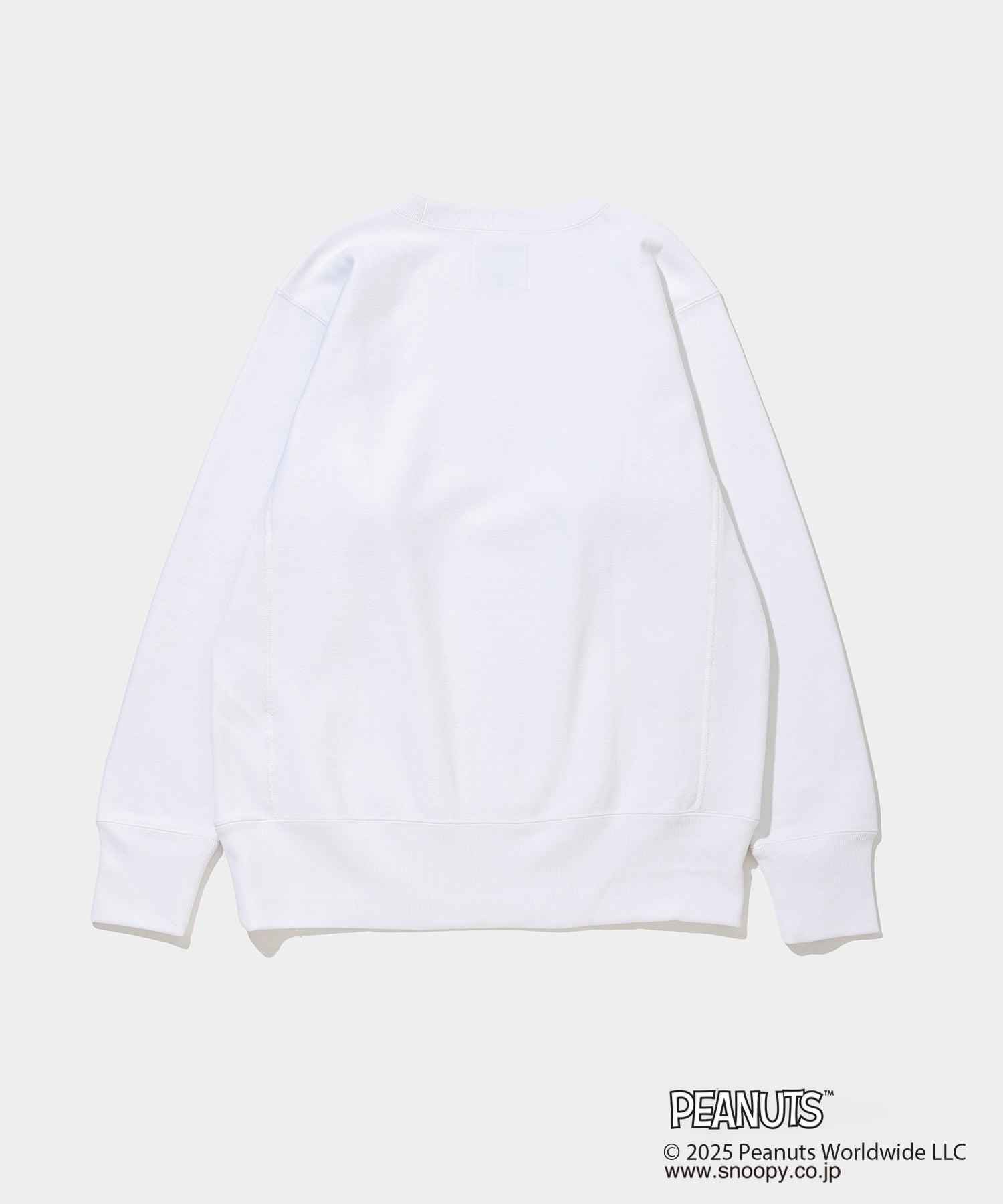Champion C/N Sweat - 011A PEANUTS FRAGMENTS