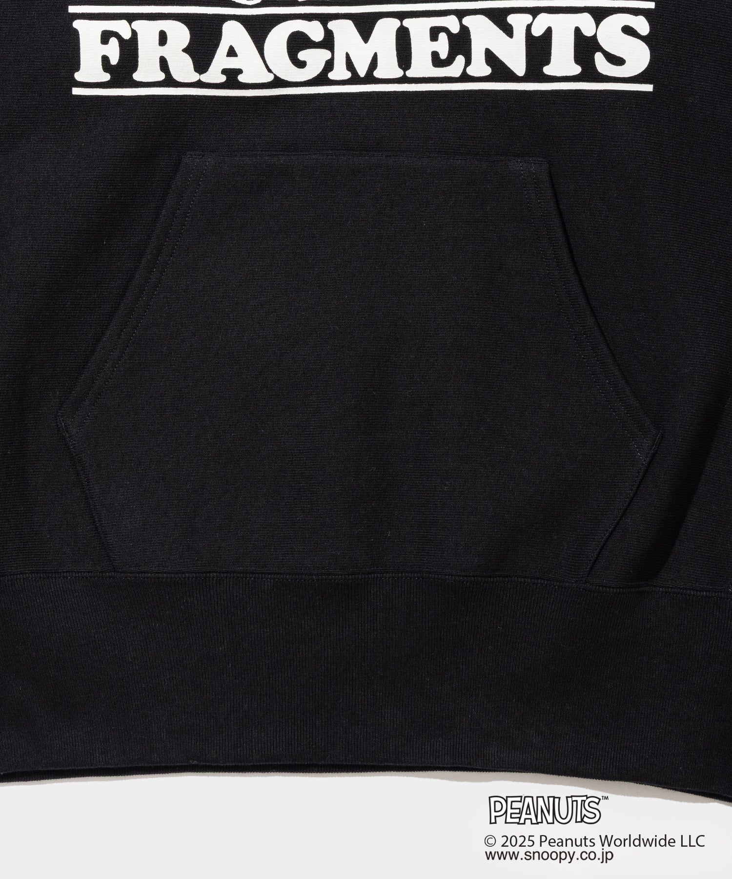 Champion Sweat Hoodie - 011A PEANUTS FRAGMENTS