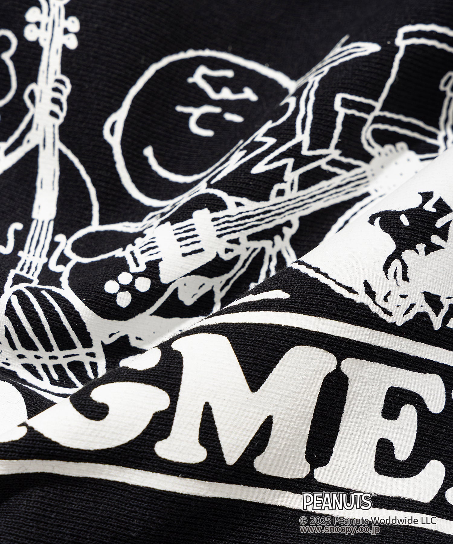 Champion Sweat Hoodie - 011A PEANUTS FRAGMENTS