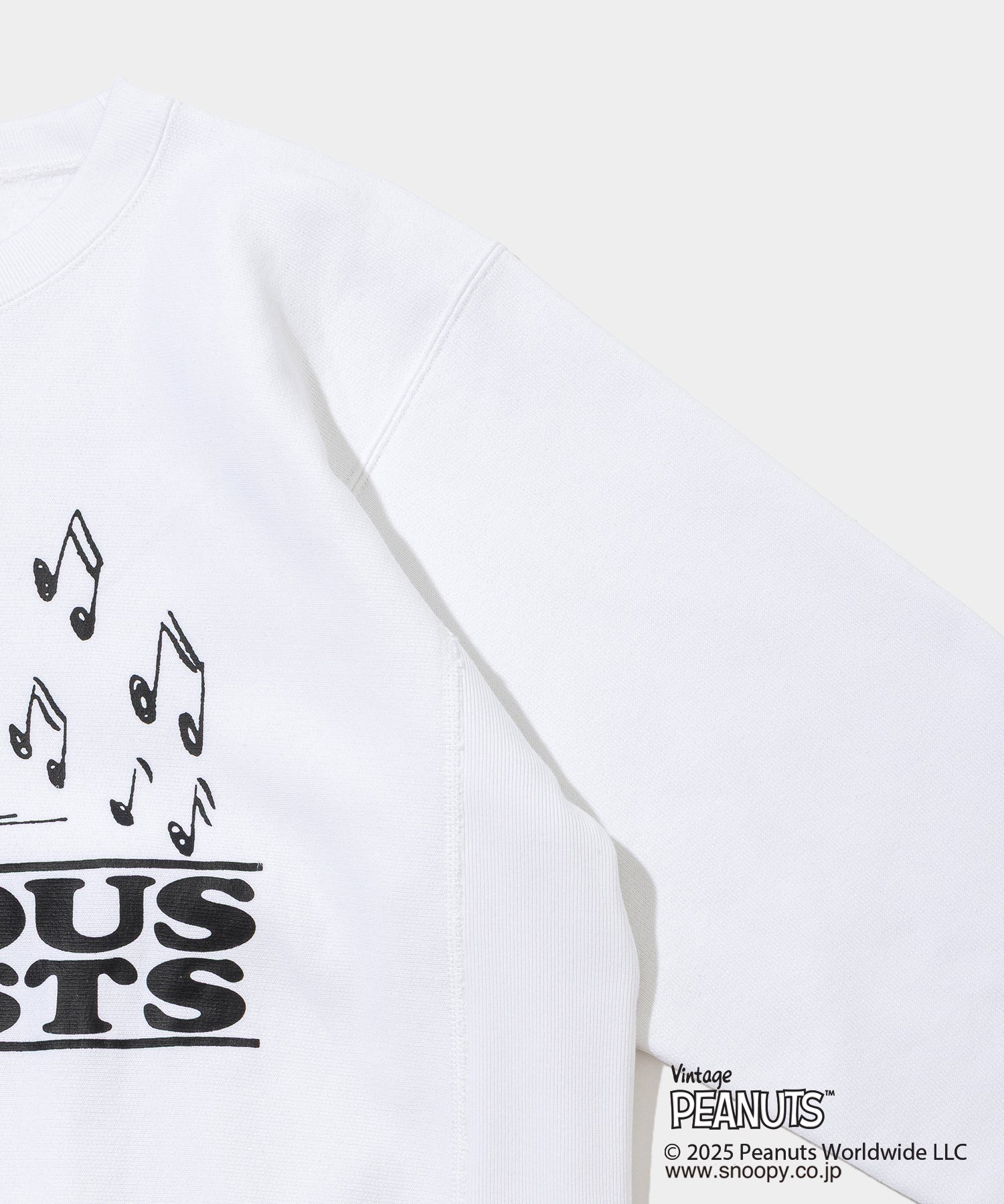Champion C/N Sweat - 011B PEANUTS