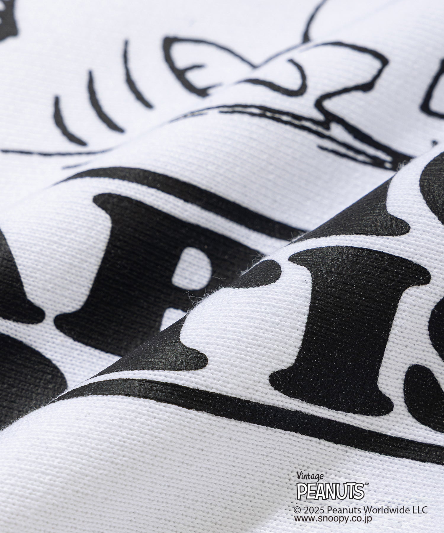 Champion C/N Sweat - 011B PEANUTS