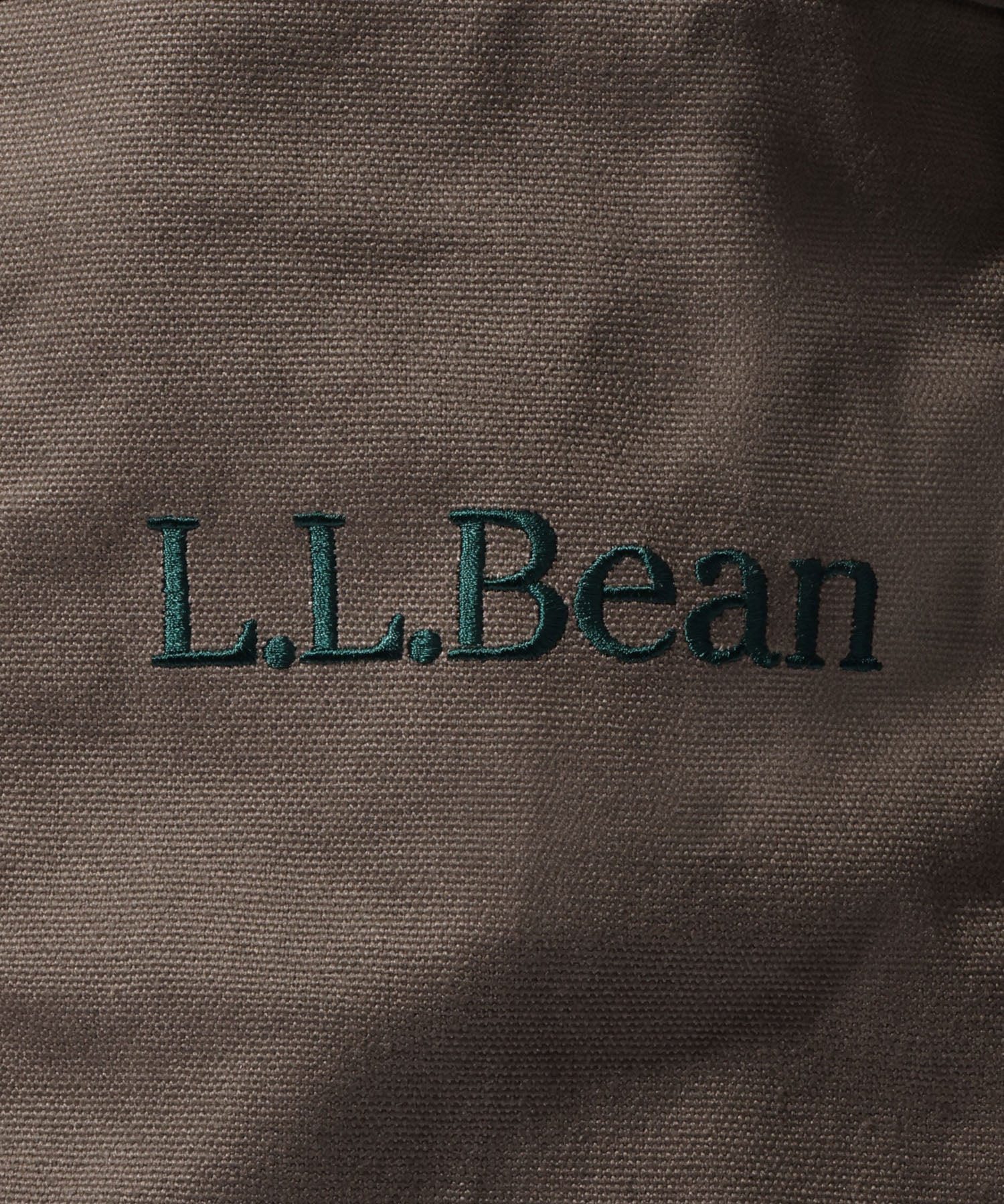 L.L.Bean Record Bag