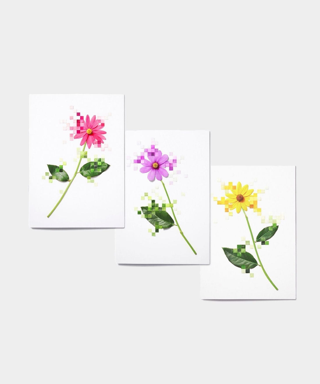 YUNI YOSHIDA: FLOWER NOTEBOOK SET