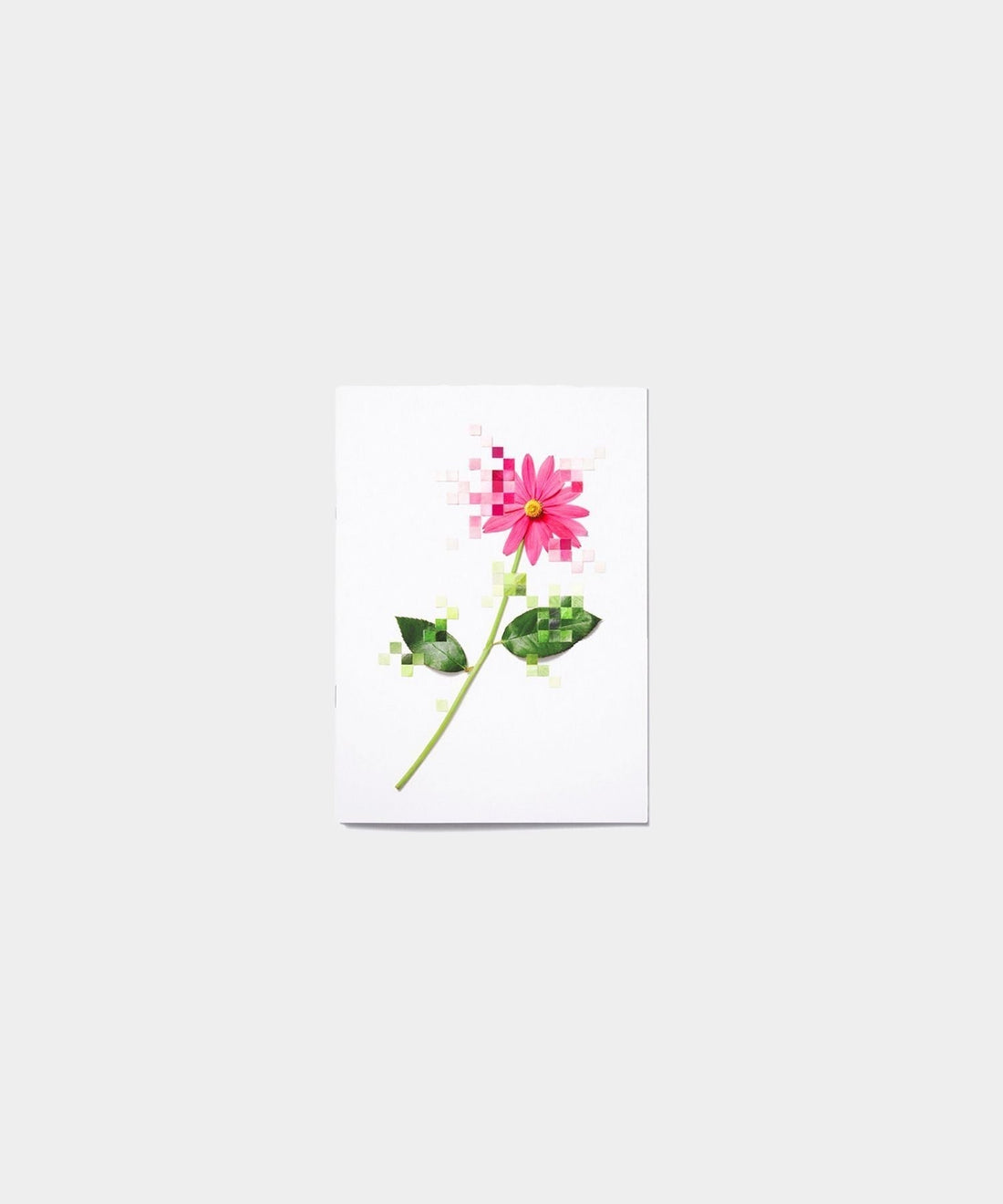 YUNI YOSHIDA: FLOWER NOTEBOOK SET