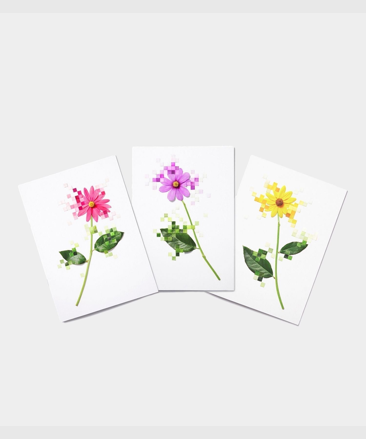 YUNI YOSHIDA: FLOWER NOTEBOOK SET