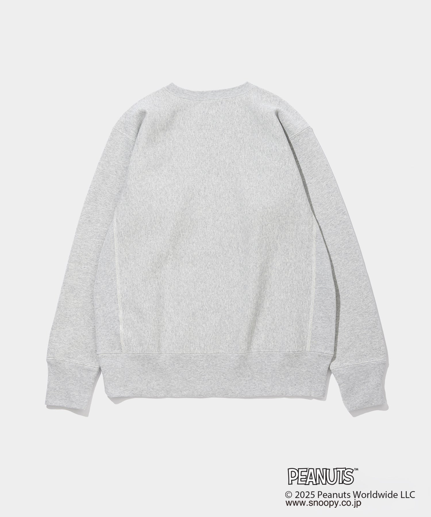Champion C/N Sweat - 011A PEANUTS FRAGMENTS